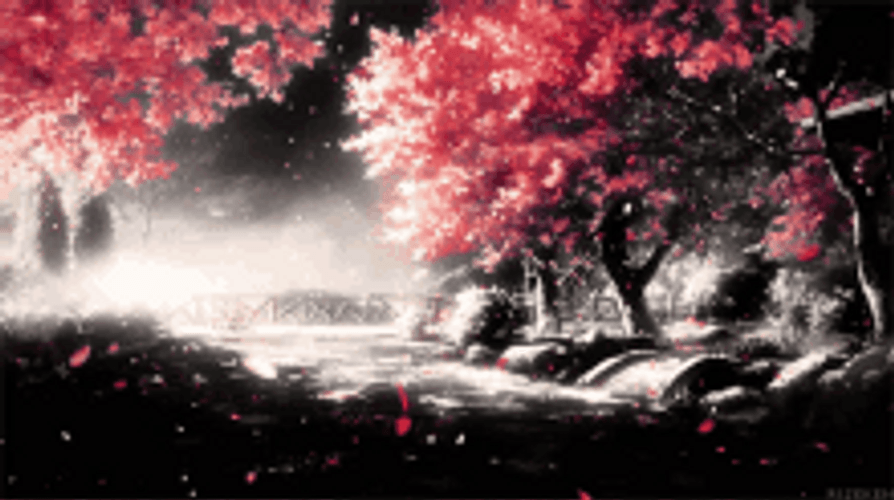 Cherry Blossoms Sakura Dark Pink Flowers Anime Aesthetic GIF