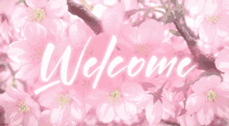 Cherry Blossoms Sakura Pink Flowers Anime Welcome GIF