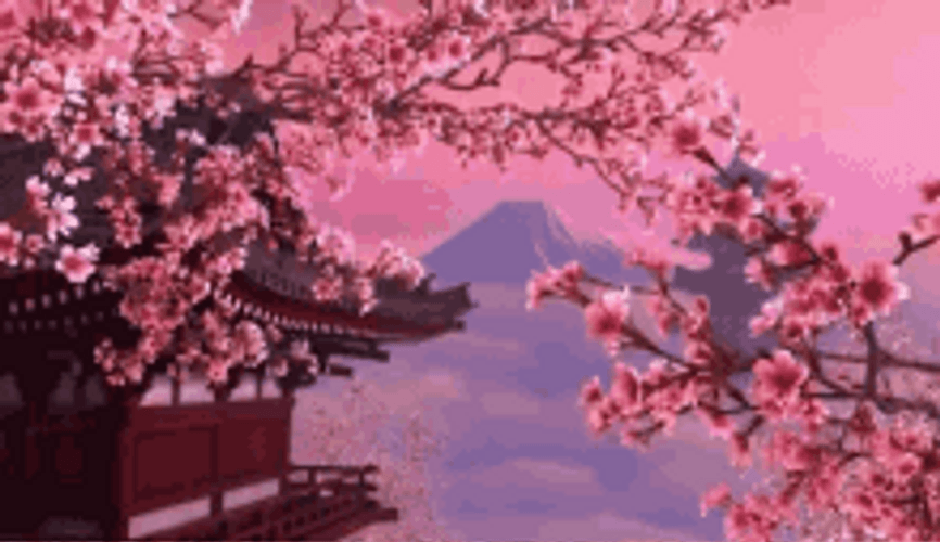 Cherry Blossoms Sakura Pink Flowers Japan Anime GIF 