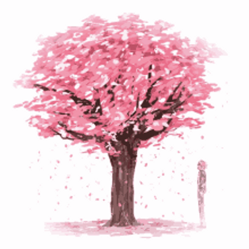 Cherry Blossoms Sakura Pink Flowers Painting Slow Motion GIF