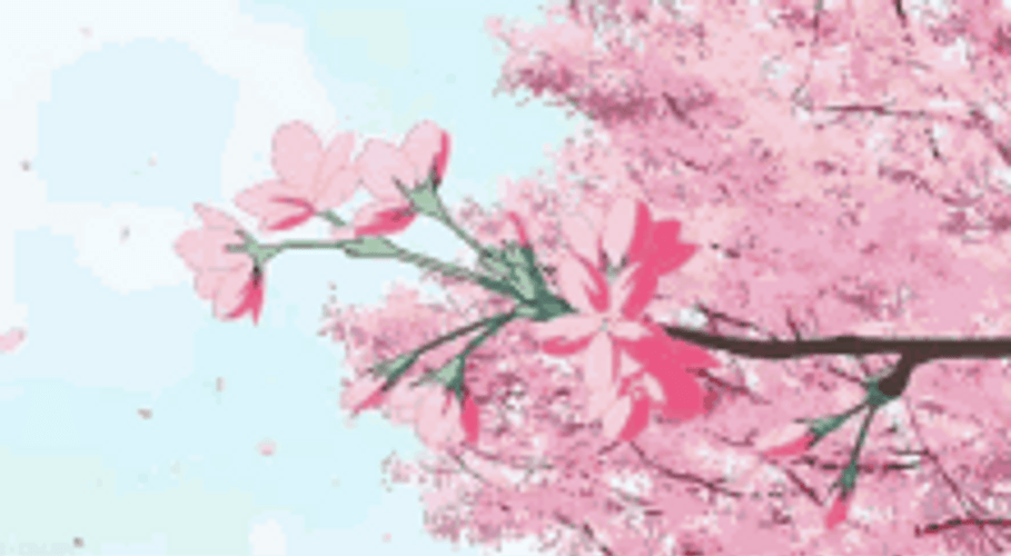 Cherry Blossoms Sakura Pink Flowers Pings GIF