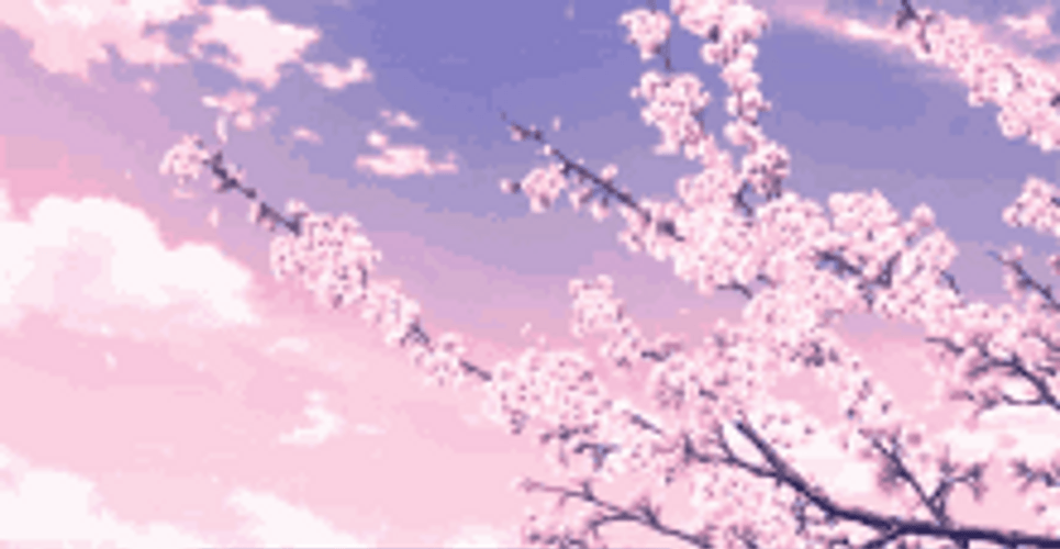 Cherry Blossoms Sakura Pink Flowers Purple Skies GIF