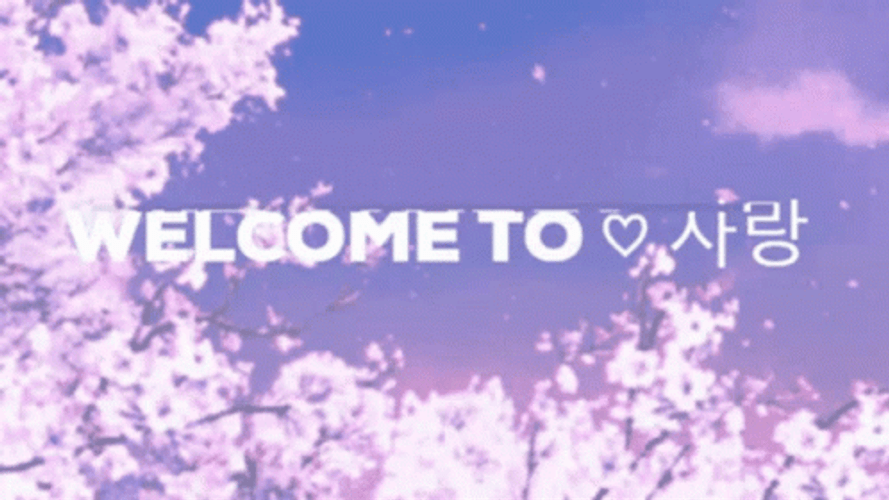 Cherry Blossoms Sakura Pink Flowers Welcome Love GIF