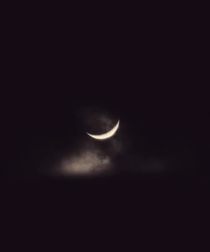Cheshire Cat Creepy Moon GIF