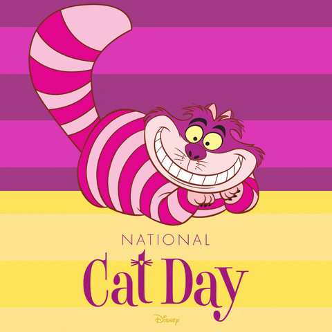 Cheshire Cat National Cat Day GIF