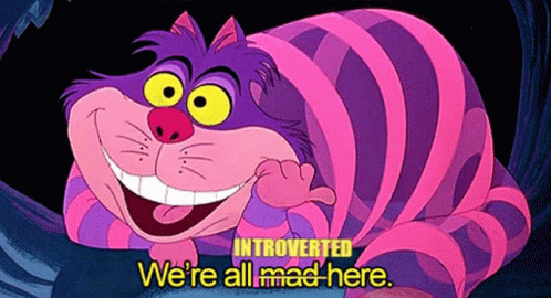 Cheshire Cat We Are All Introverted Here GIF