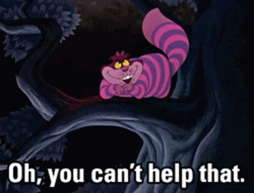 Cheshire Cat You Can't Help Alice In Wonderland GIF