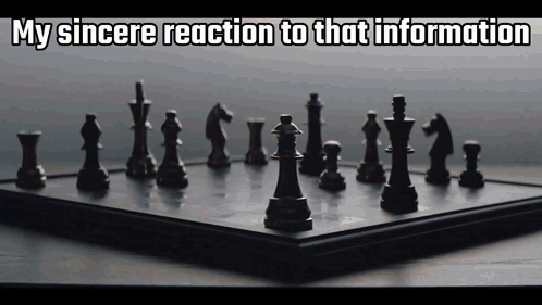 Chess Board My Sincere Reaction to That Information