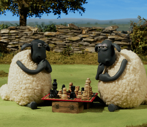 Chess Game Serious Shaun The Sheep GIF