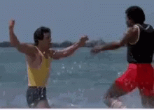 Chest Bump In The Sea GIF