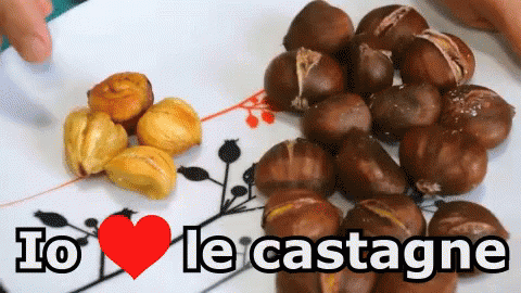 Chestnuts and Rice Bowl on Wooden Table Ti Piacciono Le Castagne