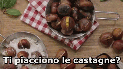 Chestnuts and Rice Ti Piacciono Le Castagne