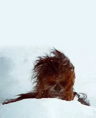 Chewbacca In The Snows GIF