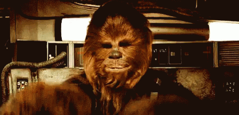 Chewbacca In The Mood GIF