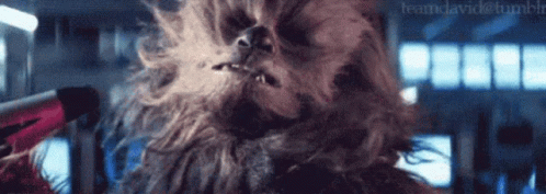 Chewbacca Face Blown By Air GIF