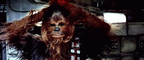 Chewbacca Fixing His Hair GIF