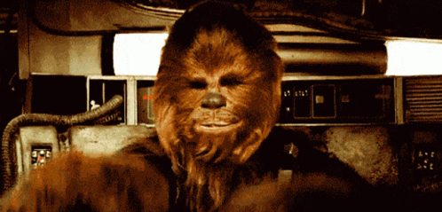 Chewbacca Feeling Handsome GIF
