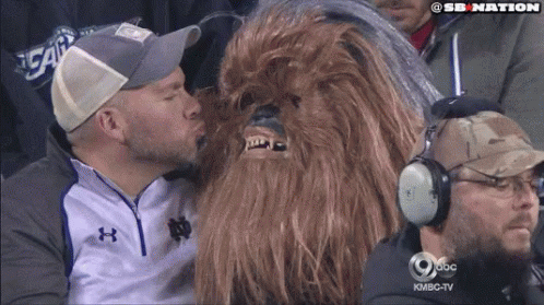 Chewbacca Kissing With A Man GIF