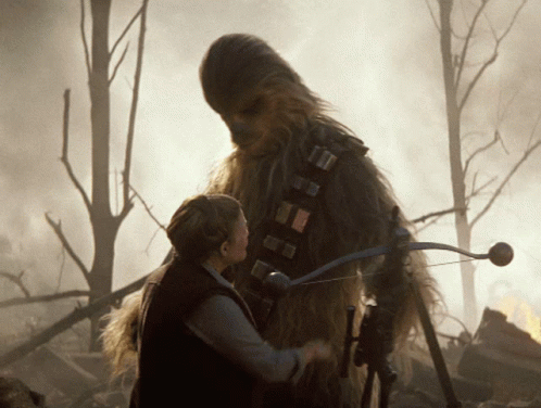 Chewbacca Final Hug GIF