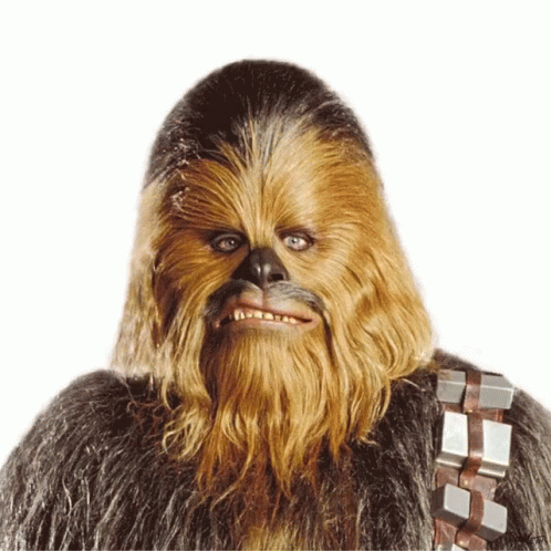 Chewbacca Shifting Looks GIF