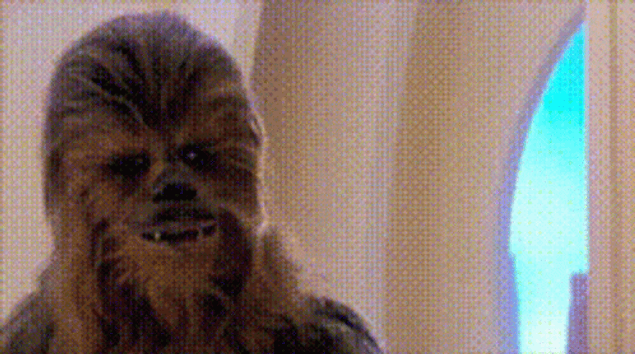 Chewbacca Can't Figure It Out GIF