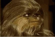 Chewbacca Close Up Face