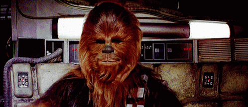 Chewbacca Close Up