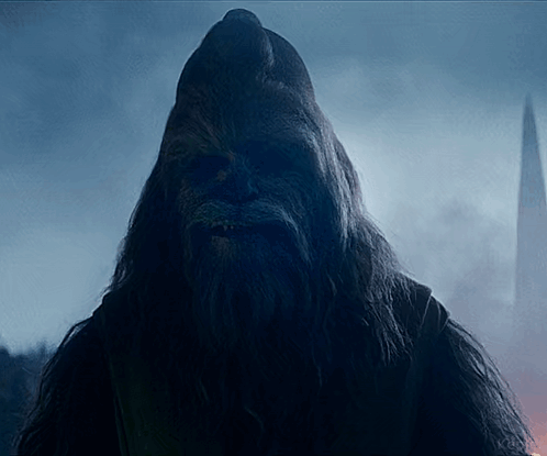 Chewbacca Close Up