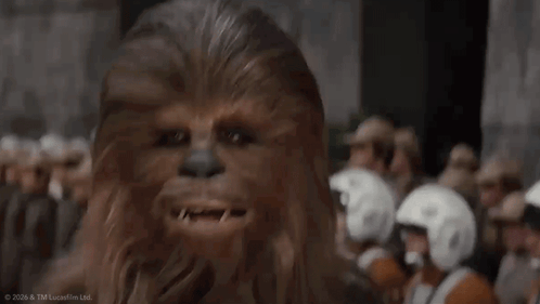 Chewbacca Close Up