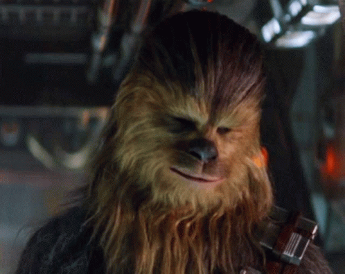 Chewbacca Close Up