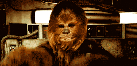 Chewbacca Close Up with Number 3