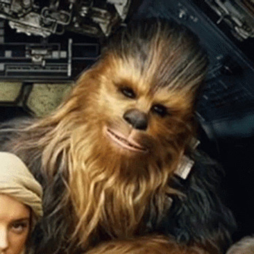 Chewbacca Close Up with Woman in Background