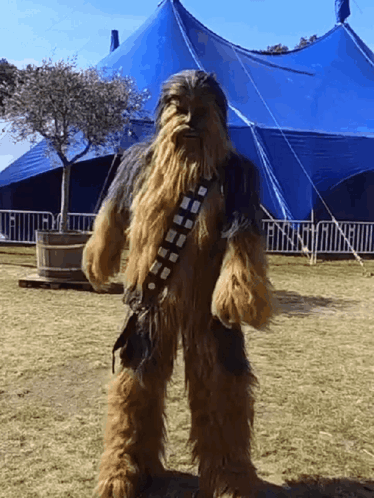 Chewbacca Costume in Field