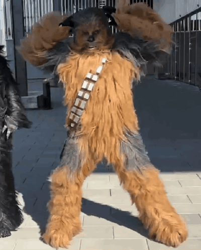 Chewbacca Costume with Checkered Belt