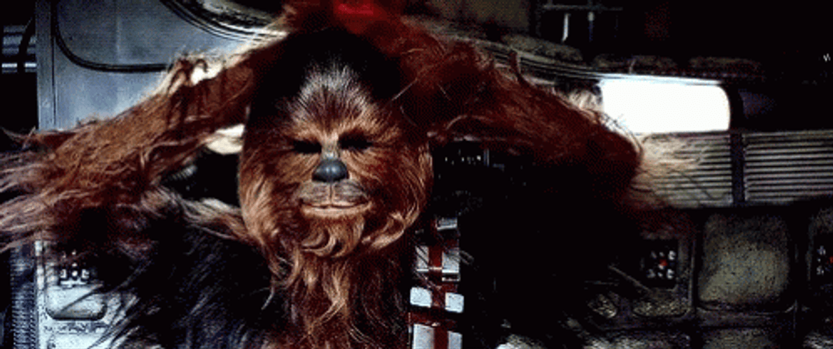 Chewbacca Fixing His Hair GIF