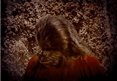 Chewbacca Hairy Face Red Shirt GIF
