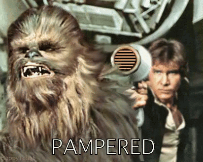 Chewbacca Holding Hair Dryer Next to Han Solo