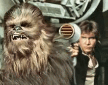 Chewbacca Holding Hair Dryer