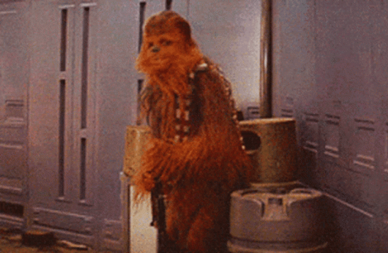 Chewbacca In Denial GIF