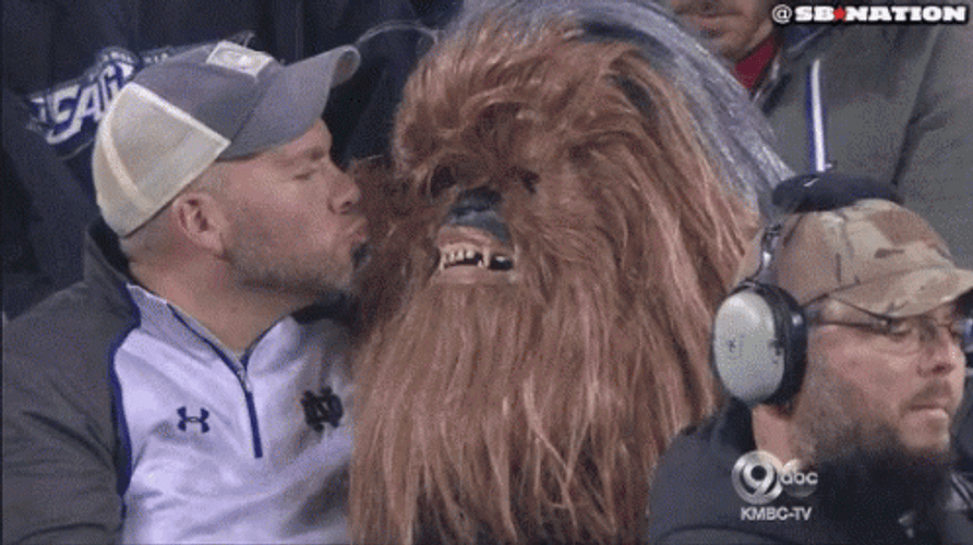 Chewbacca Kissing With A Man GIF