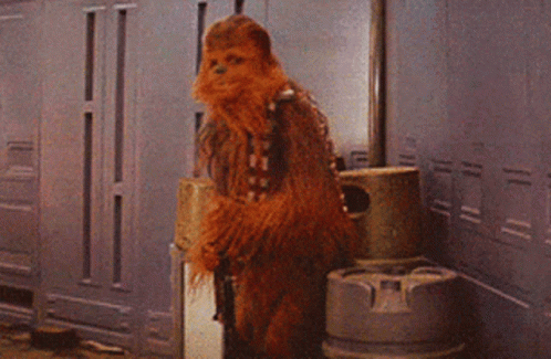 Chewbacca Next to Vacuum Cleaner
