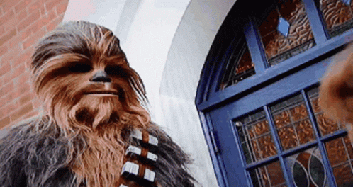Chewbacca Standing in Front of Door