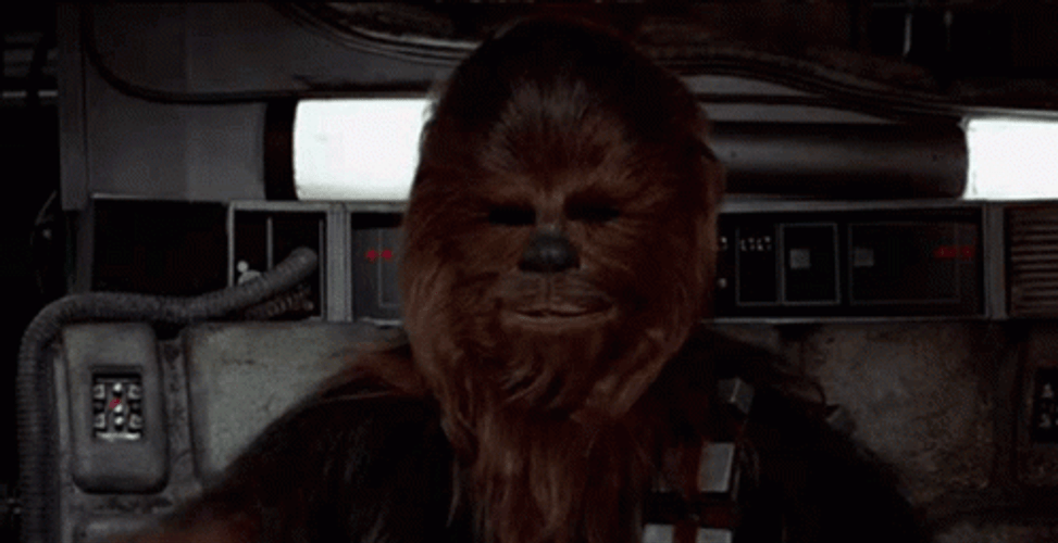 Chewbacca That's Right GIF