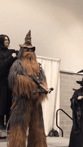 Chewbacca Wearing Sorting Hat GIF