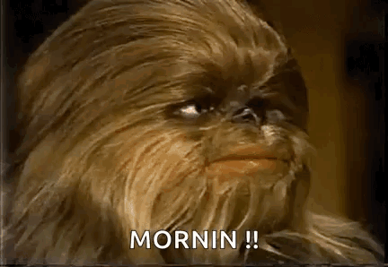Chewbacca with Mornin Text