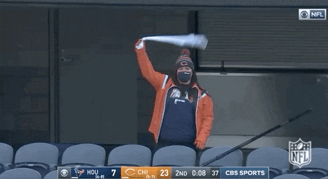 Chicago Bear Fan Down Celebrating GIF