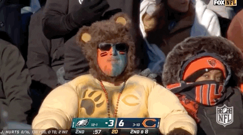 Chicago Bear Fan Down In Seats GIF
