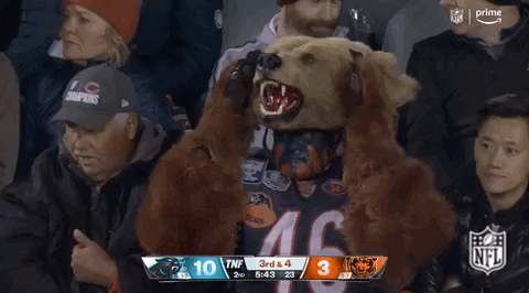 Chicago Bear Fan Putting Down Mask GIF