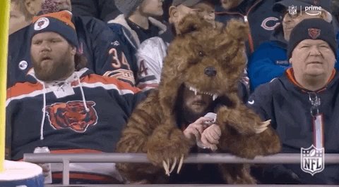 Chicago Bear Fans Bored Down GIF