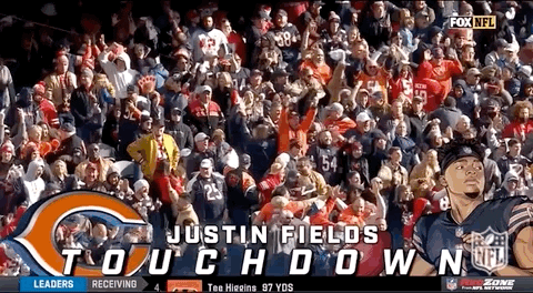 Chicago Bear Fans Celebrates On Touch Down GIF